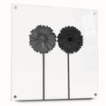 Floral Symmetry - Fine Art Photography Framed Prints