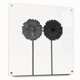 Floral Symmetry - Fine Art Photography Framed Prints