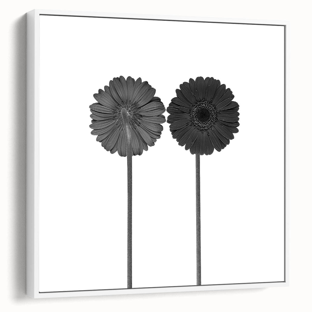 Floral Symmetry - Fine Art Photography Framed Prints