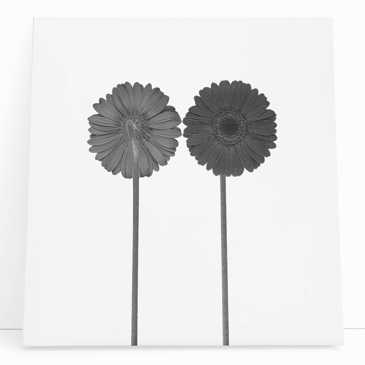 Floral Symmetry - Fine Art Photography Framed Prints