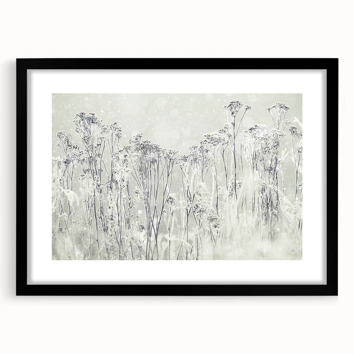 Winter Wonderland Wall Art – Frosted Floral Serenity