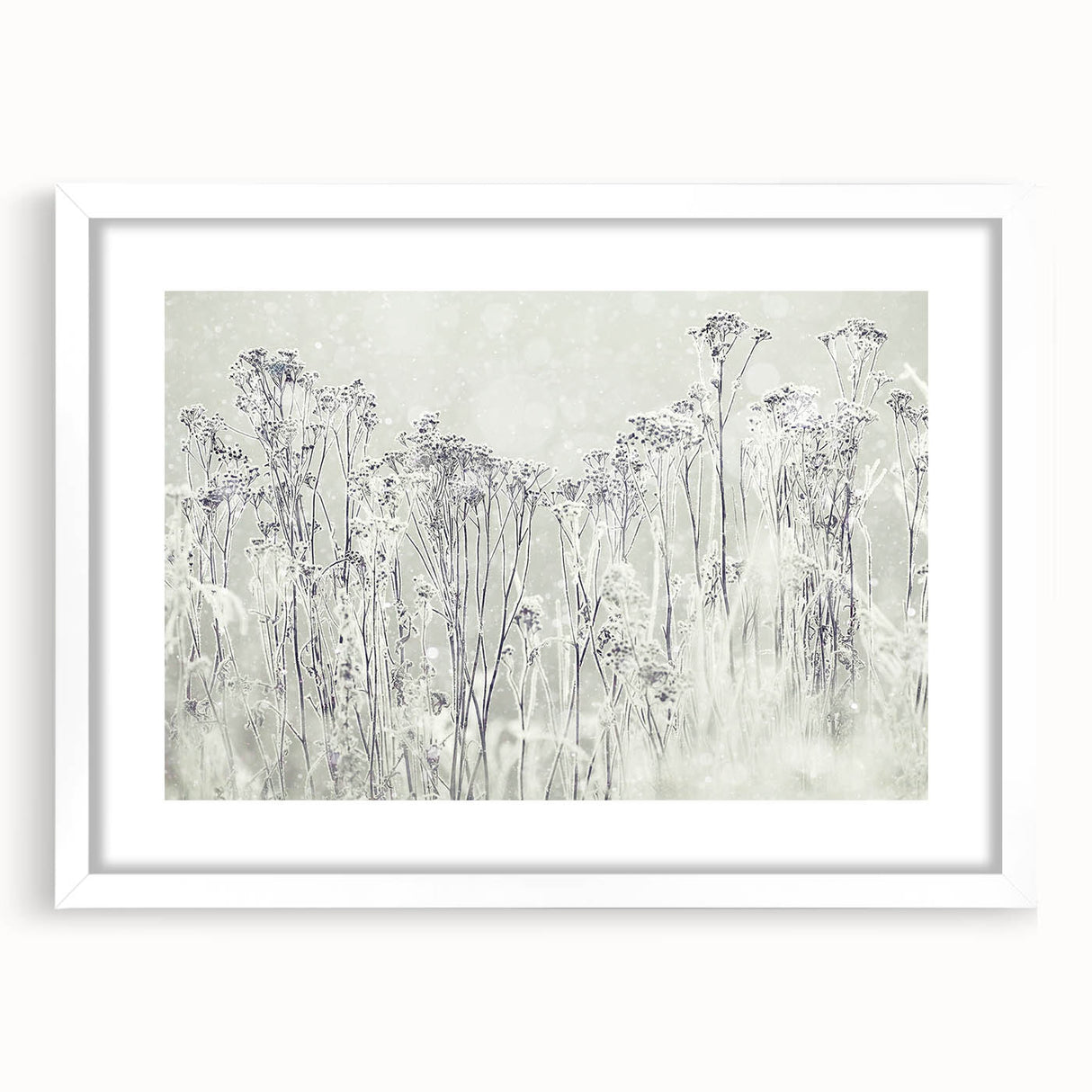 Winter Wonderland Wall Art – Frosted Floral Serenity