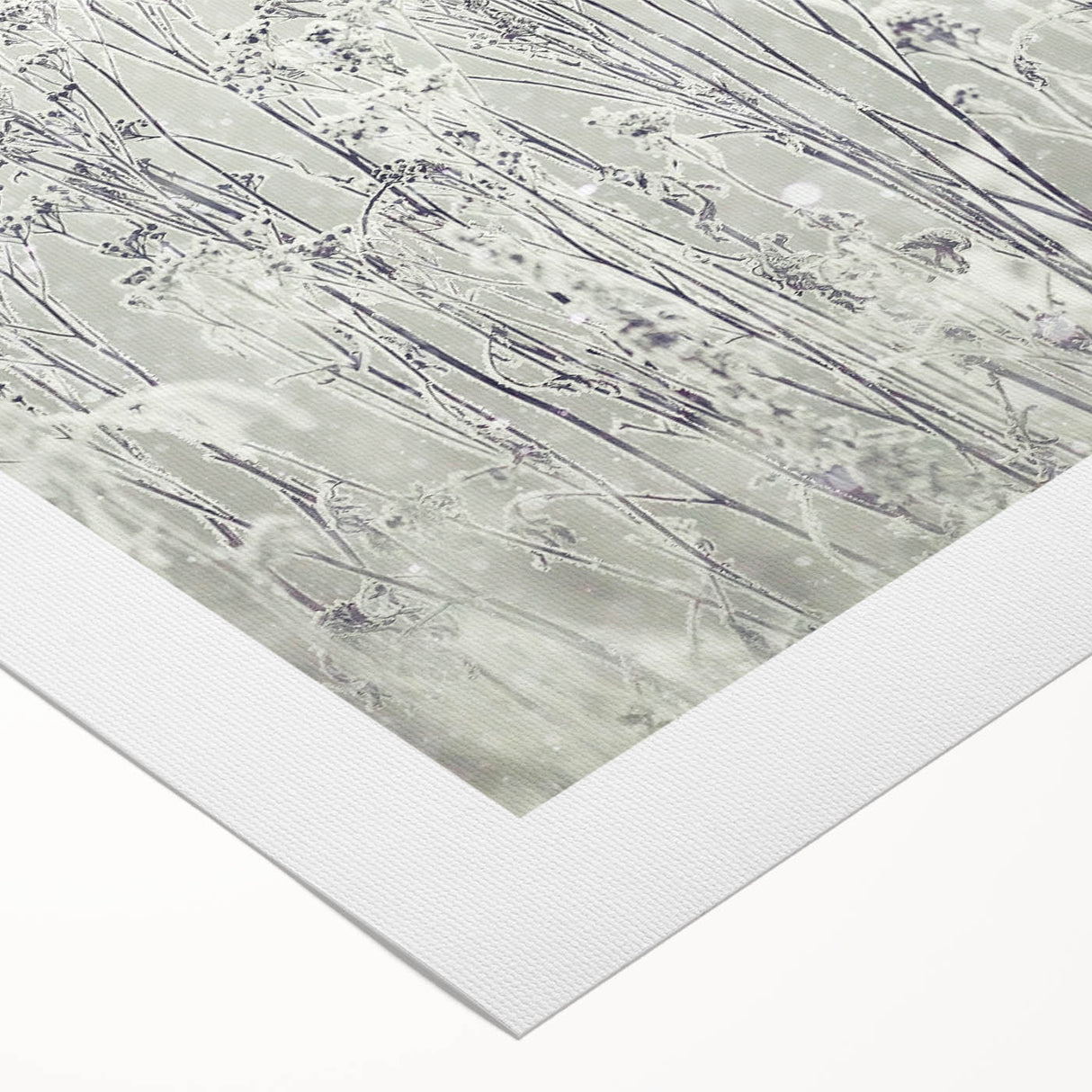 Winter Wonderland Wall Art – Frosted Floral Serenity