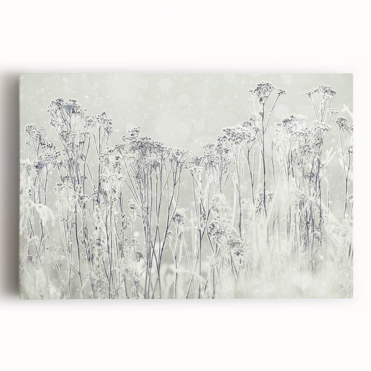 Winter Wonderland Wall Art – Frosted Floral Serenity