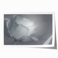 Modern Art Prints – Elegant Black & White Floral Wall Art
