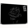 Black Rose Elegance - Fine Art Photography Canvas Prints