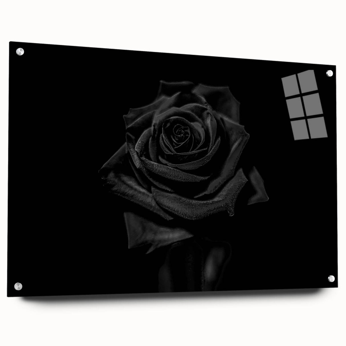 Black Rose Elegance - Fine Art Photography Canvas Prints