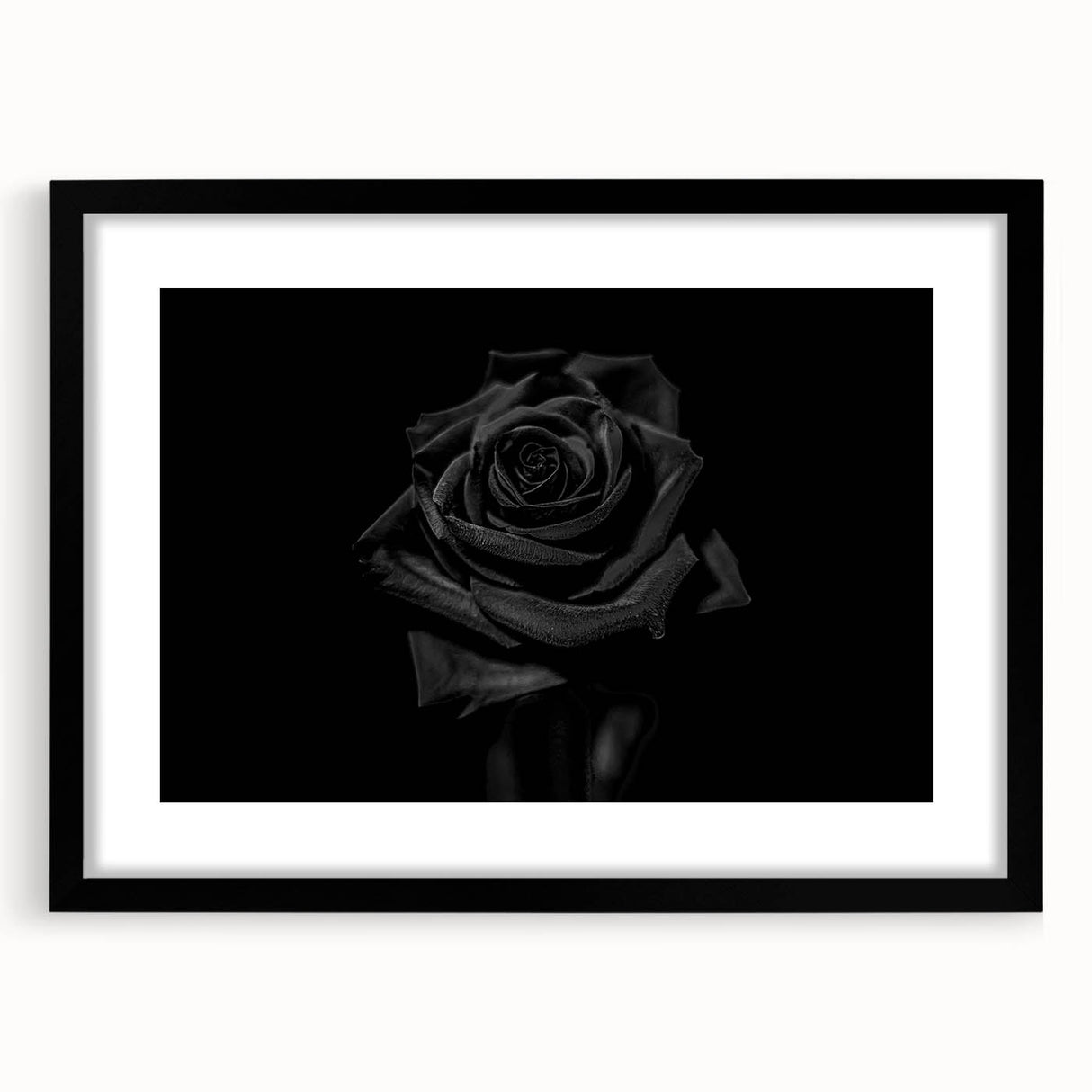 Black Rose Elegance - Fine Art Photography Canvas Prints