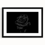Black Rose Elegance - Fine Art Photography Canvas Prints