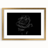 Black Rose Elegance - Fine Art Photography Canvas Prints