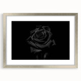 Black Rose Elegance - Fine Art Photography Canvas Prints