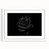 Black Rose Elegance - Fine Art Photography Canvas Prints