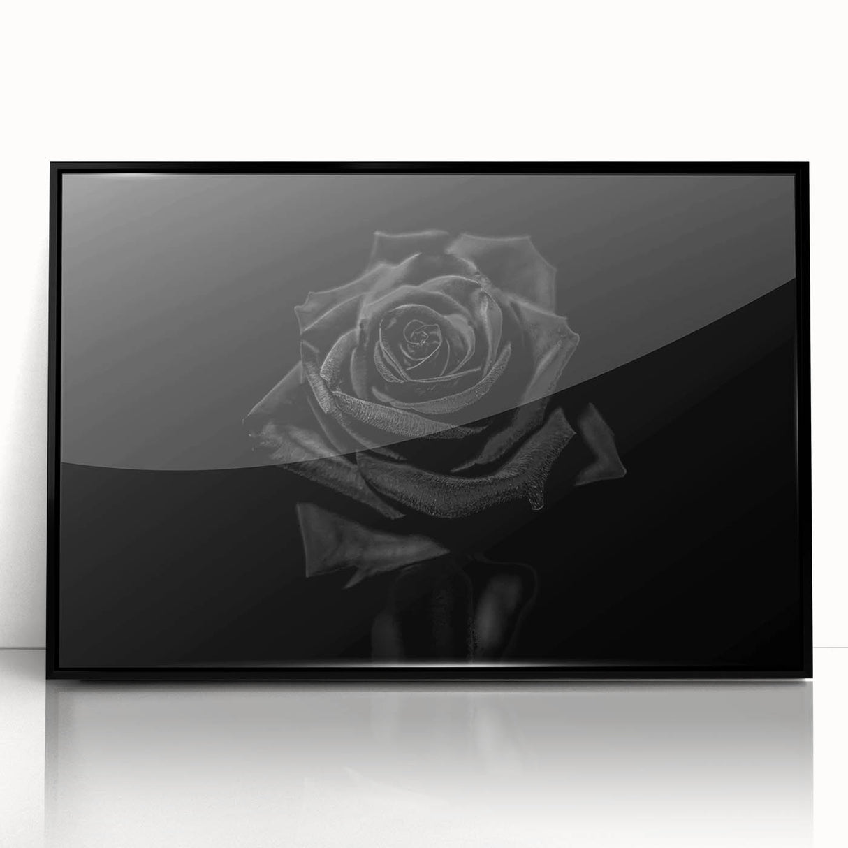 Black Rose Elegance - Fine Art Photography Canvas Prints