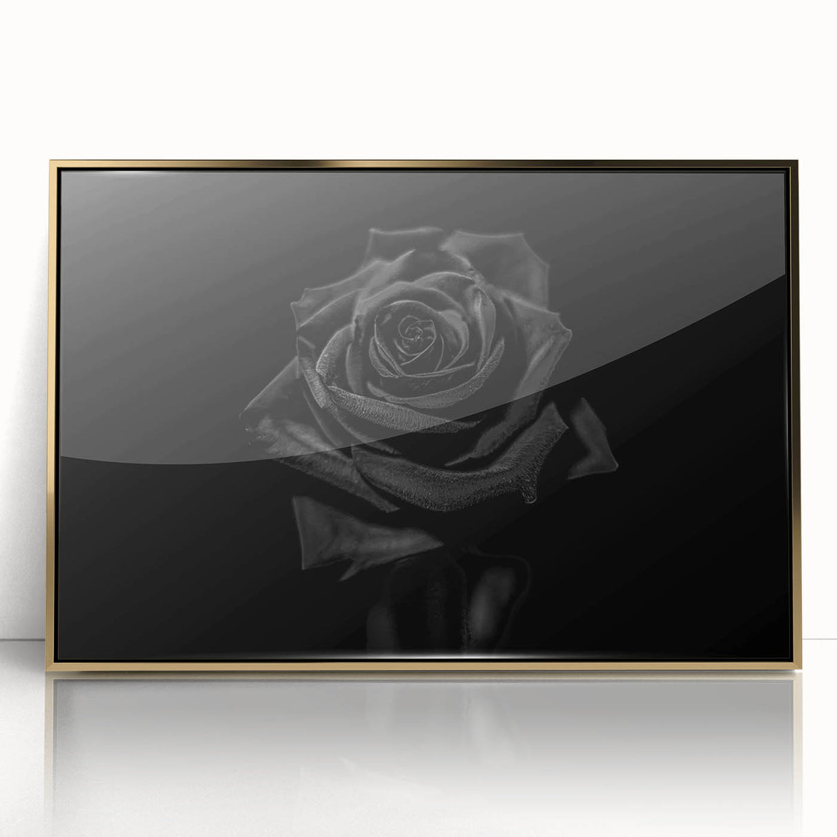 Black Rose Elegance - Fine Art Photography Canvas Prints