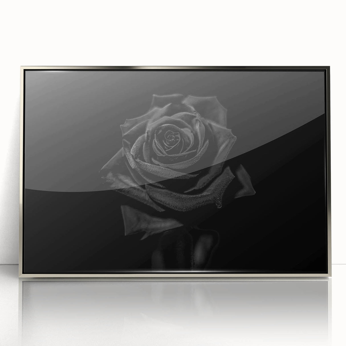 Black Rose Elegance - Fine Art Photography Canvas Prints