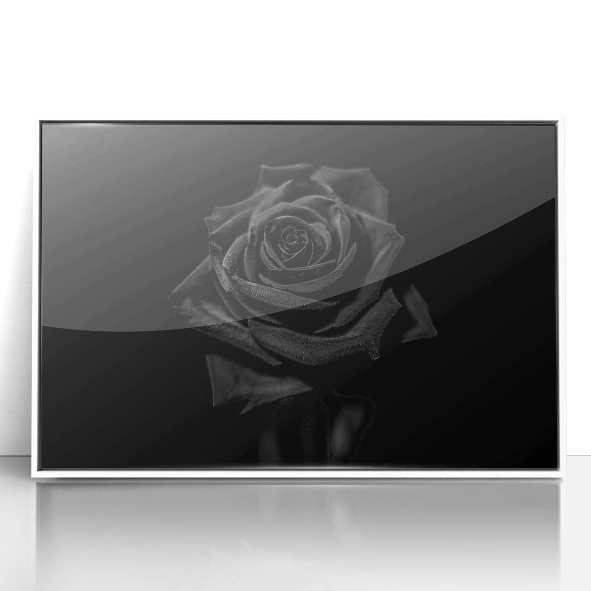 Black Rose Elegance - Fine Art Photography Canvas Prints