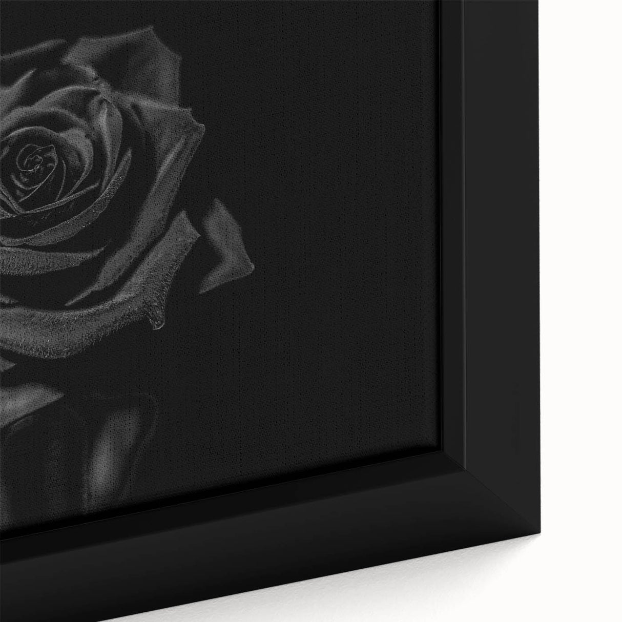 Black Rose Elegance - Fine Art Photography Canvas Prints