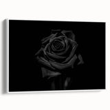 Black Rose Elegance - Fine Art Photography Canvas Prints