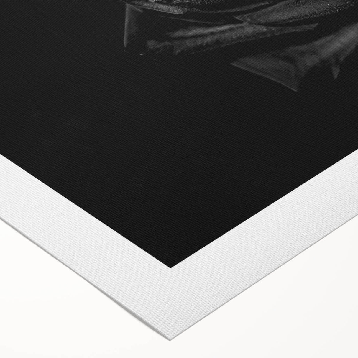 Black Rose Elegance - Fine Art Photography Canvas Prints