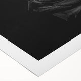 Black Rose Elegance - Fine Art Photography Canvas Prints