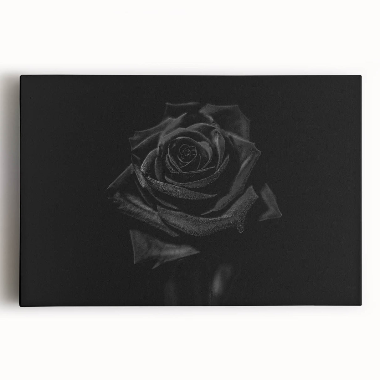 Black Rose Elegance - Fine Art Photography Canvas Prints