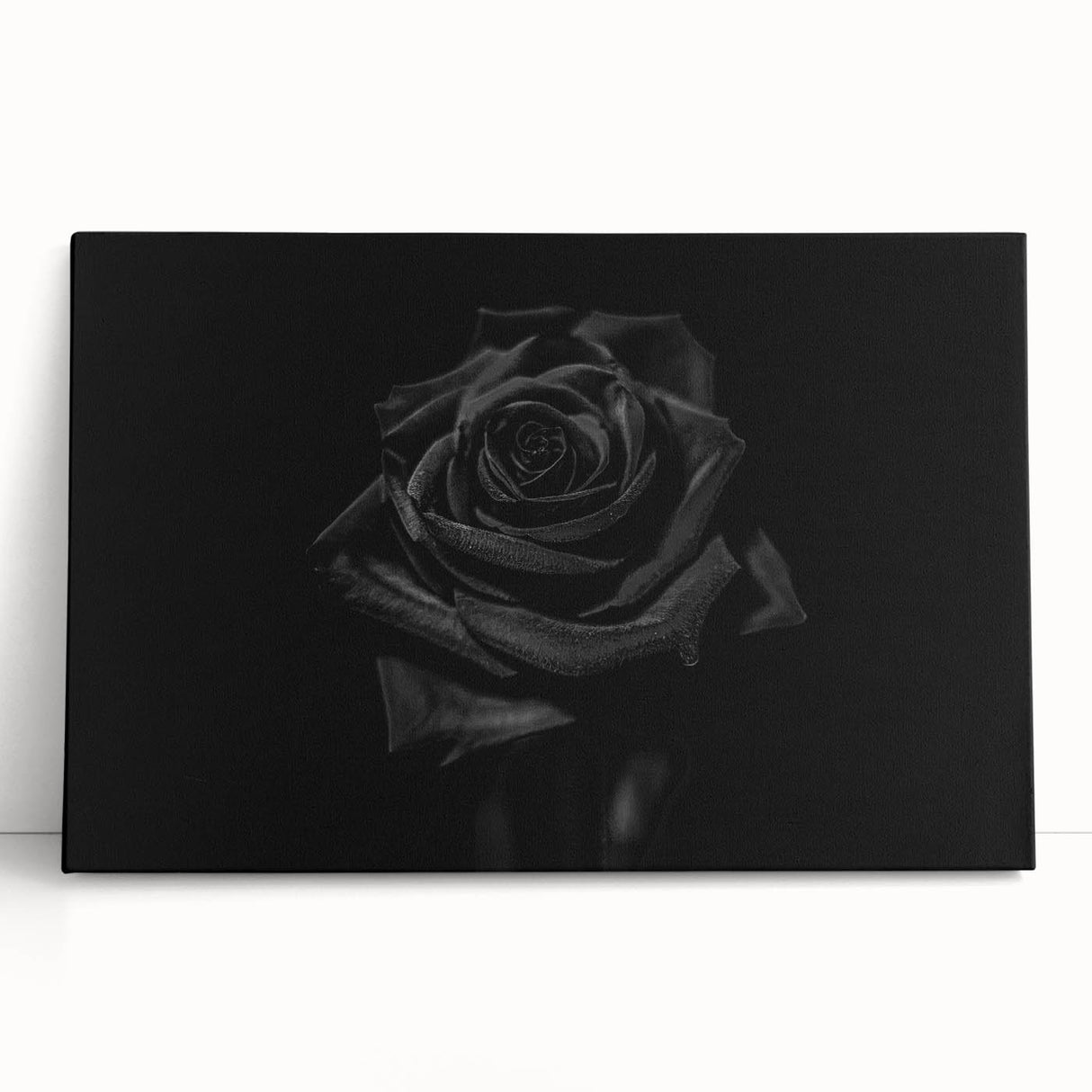 Black Rose Elegance - Fine Art Photography Canvas Prints