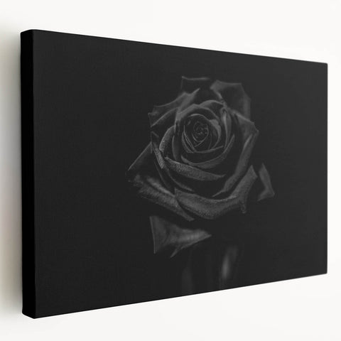 Black Rose Elegance - Fine Art Photography Canvas Prints