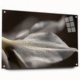 Dew-Kissed Leaf - Fine Art Photography Limited Edition Prints