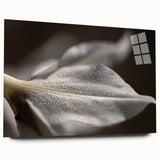 Dew-Kissed Leaf - Fine Art Photography Limited Edition Prints