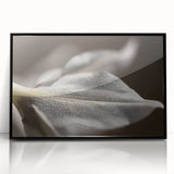 Dew-Kissed Leaf - Fine Art Photography Limited Edition Prints