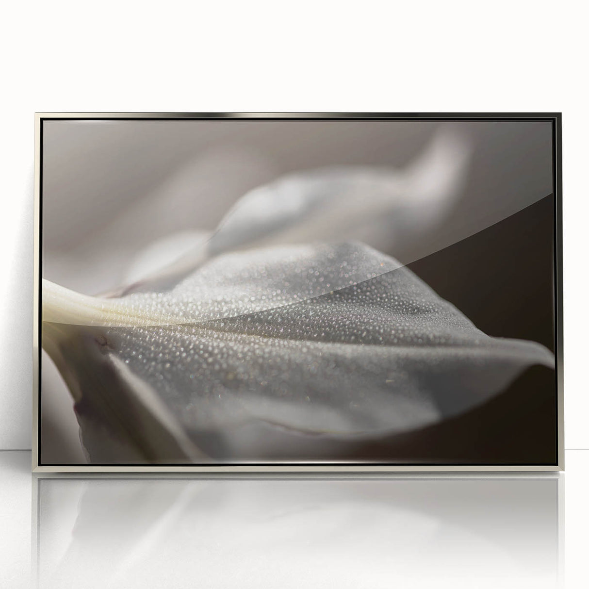 Dew-Kissed Leaf - Fine Art Photography Limited Edition Prints