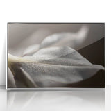 Dew-Kissed Leaf - Fine Art Photography Limited Edition Prints