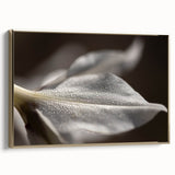 Dew-Kissed Leaf - Fine Art Photography Limited Edition Prints