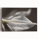 Dew-Kissed Leaf - Fine Art Photography Limited Edition Prints