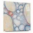 Organic Cells in Soft Tones – Earthen Harmony Earth Tone Art Print