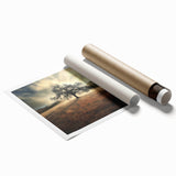 Golden Horizon Tree – Fine Art Photography Canvas Prints