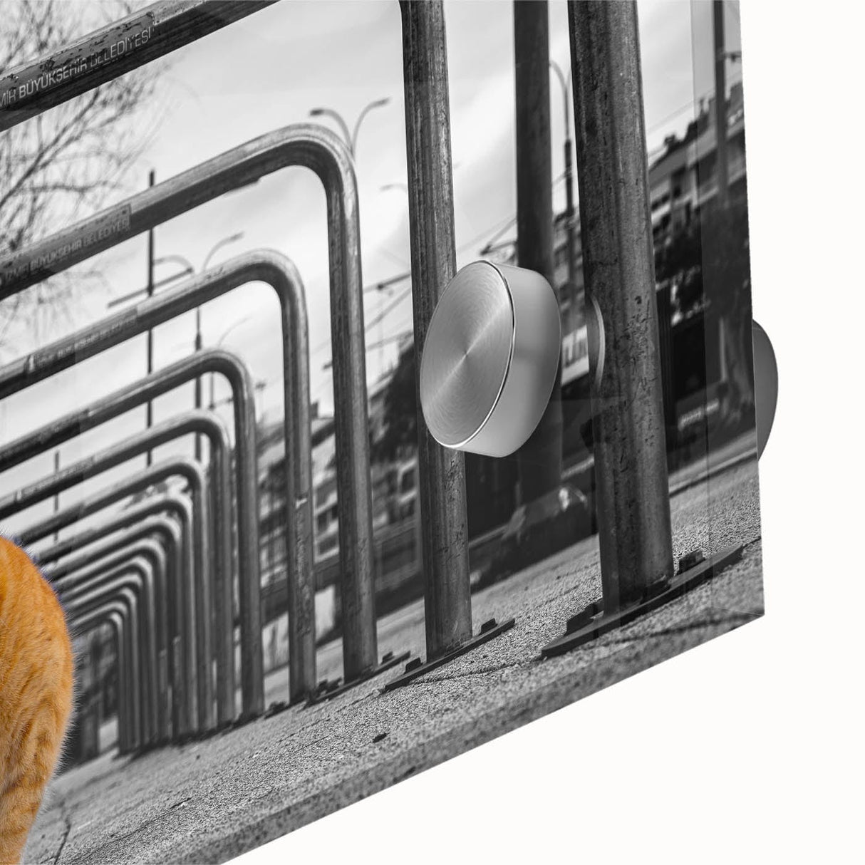 Urban Skyline Canvas Prints – Cat in City Symmetry Street Scene