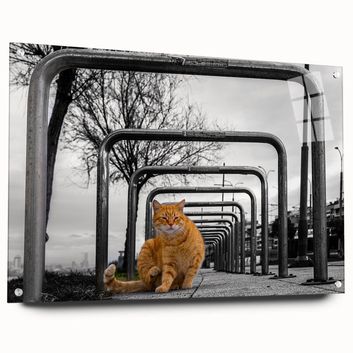 Urban Skyline Canvas Prints – Cat in City Symmetry Street Scene
