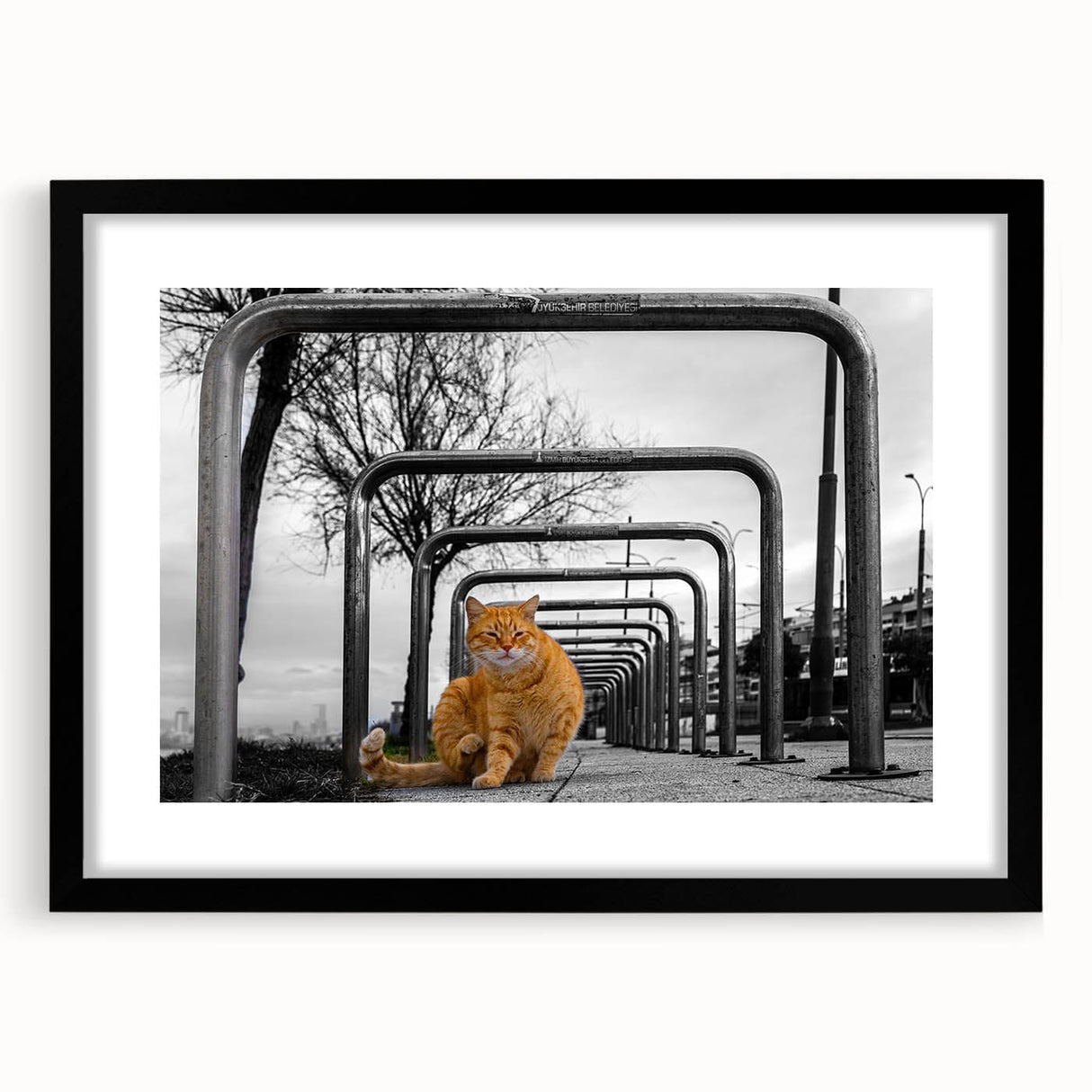 Urban Skyline Canvas Prints – Cat in City Symmetry Street Scene
