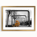 Urban Skyline Canvas Prints – Cat in City Symmetry Street Scene