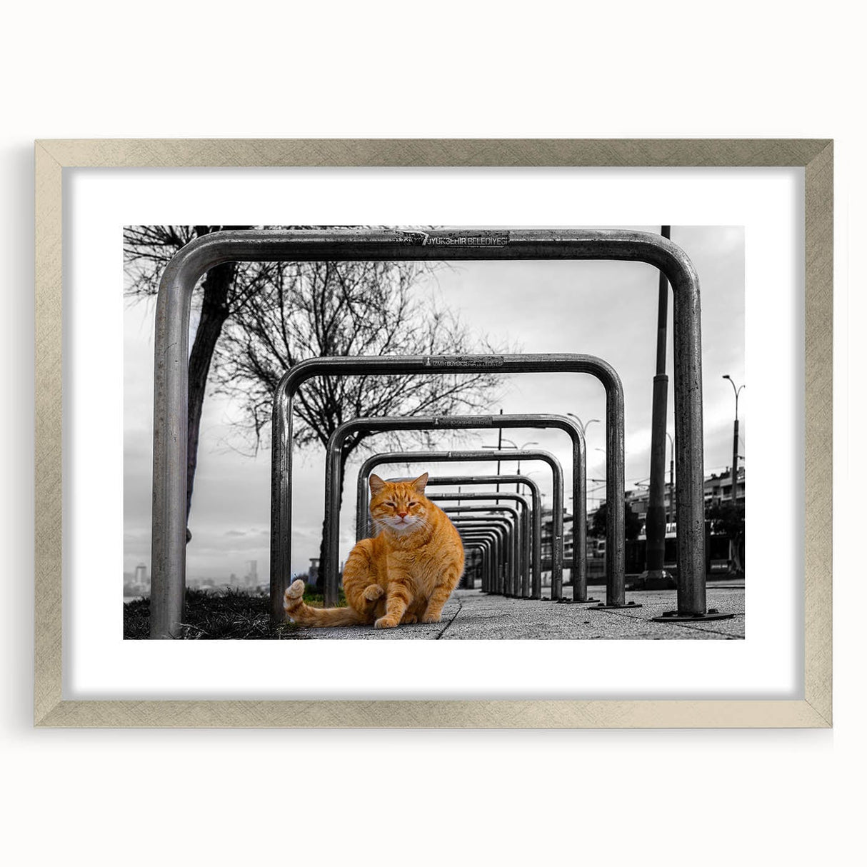 Urban Skyline Canvas Prints – Cat in City Symmetry Street Scene