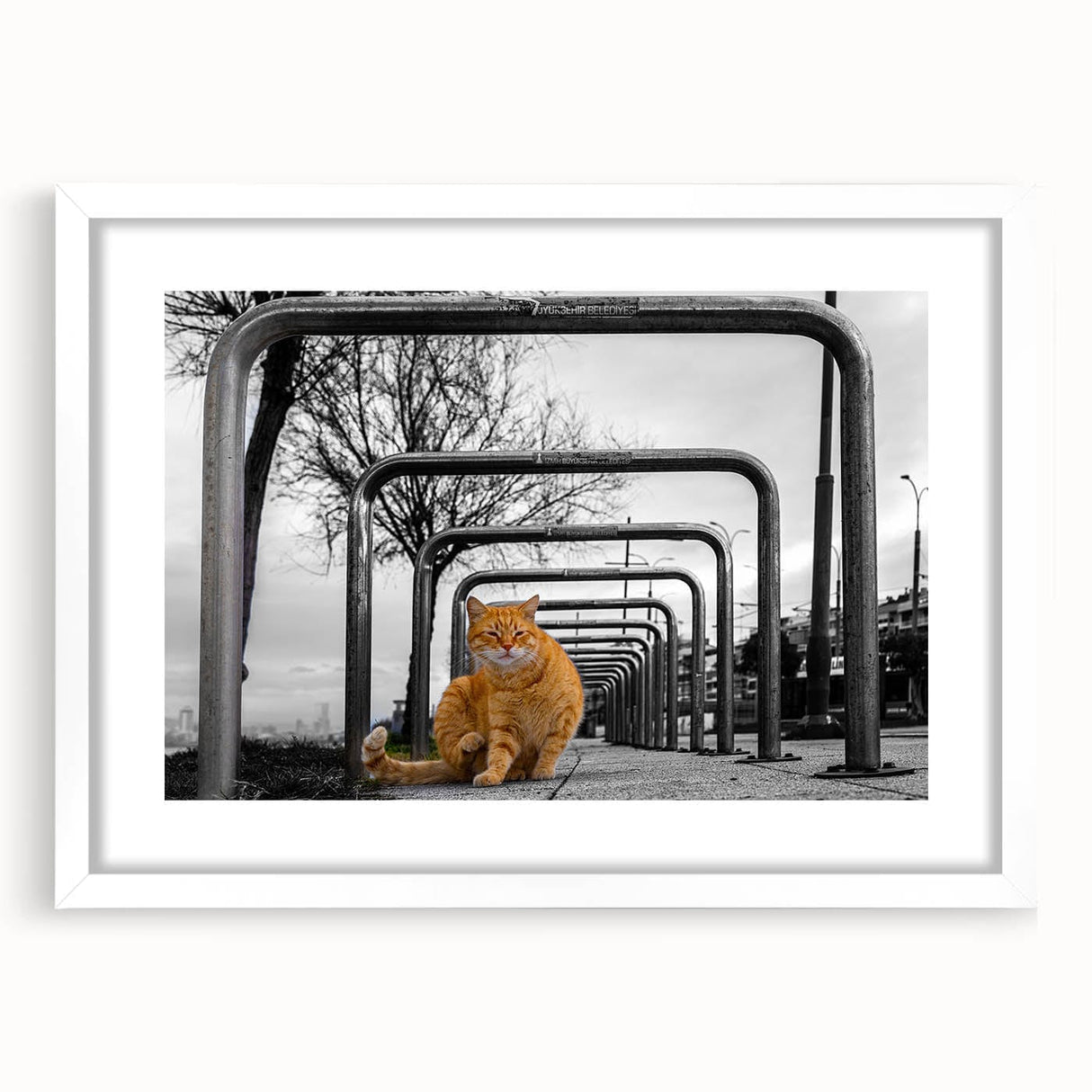 Urban Skyline Canvas Prints – Cat in City Symmetry Street Scene
