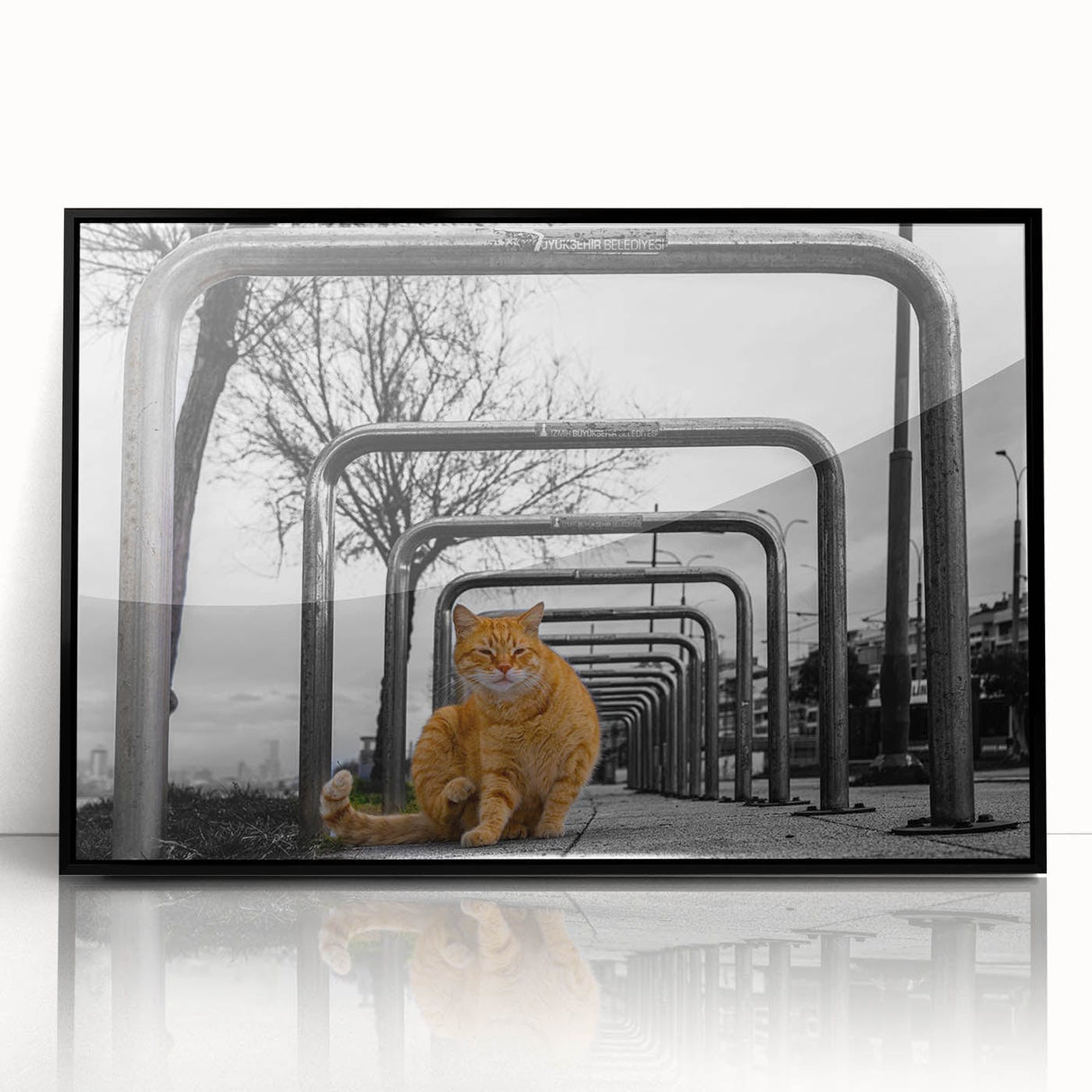 Urban Skyline Canvas Prints – Cat in City Symmetry Street Scene