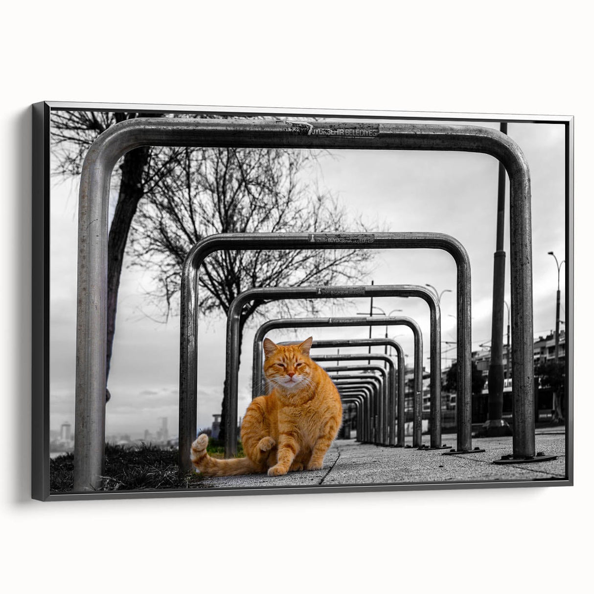 Urban Skyline Canvas Prints – Cat in City Symmetry Street Scene