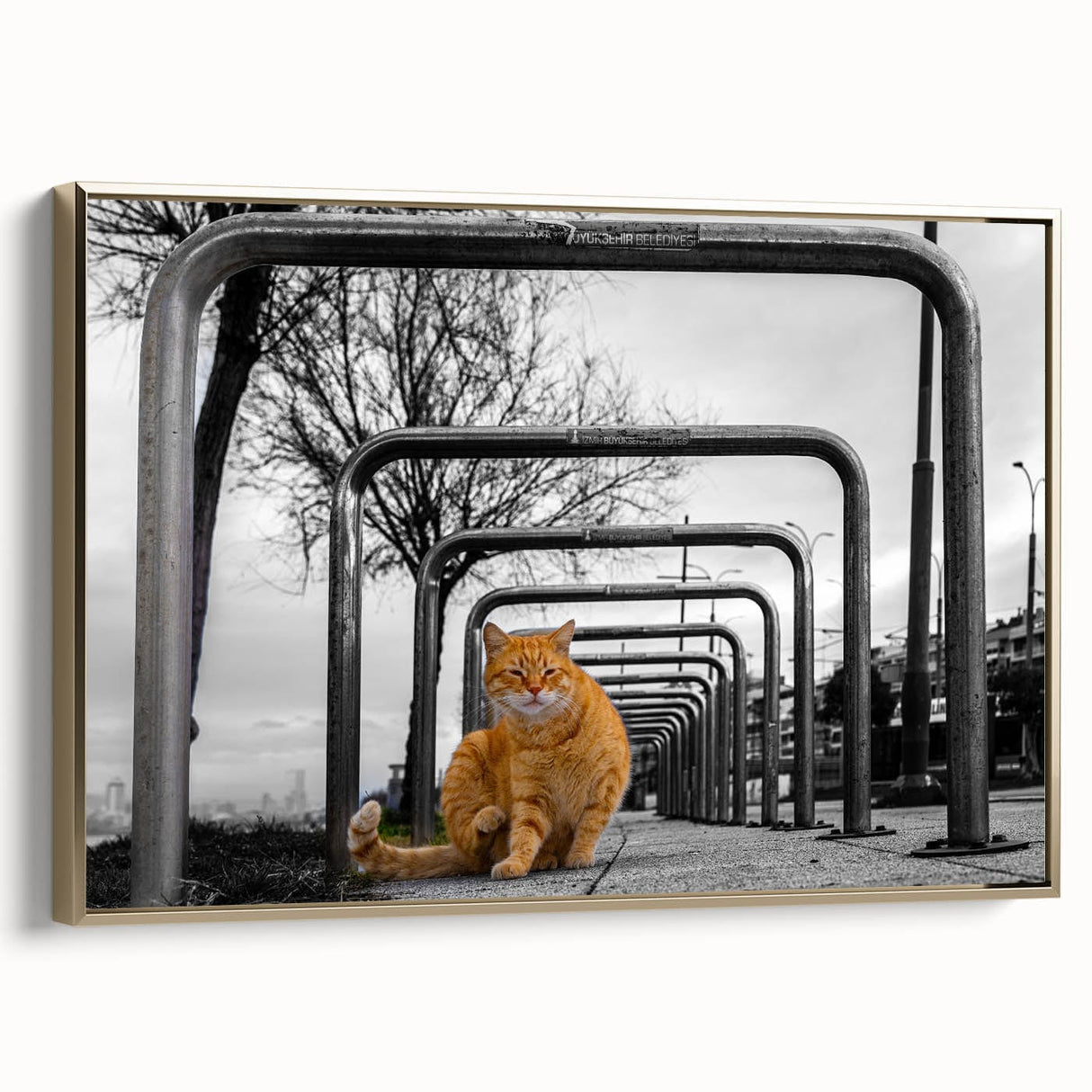 Urban Skyline Canvas Prints – Cat in City Symmetry Street Scene