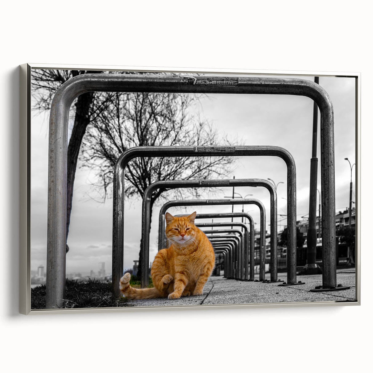 Urban Skyline Canvas Prints – Cat in City Symmetry Street Scene