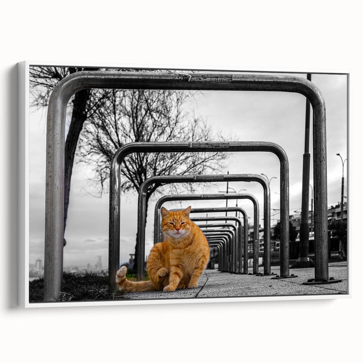Urban Skyline Canvas Prints – Cat in City Symmetry Street Scene
