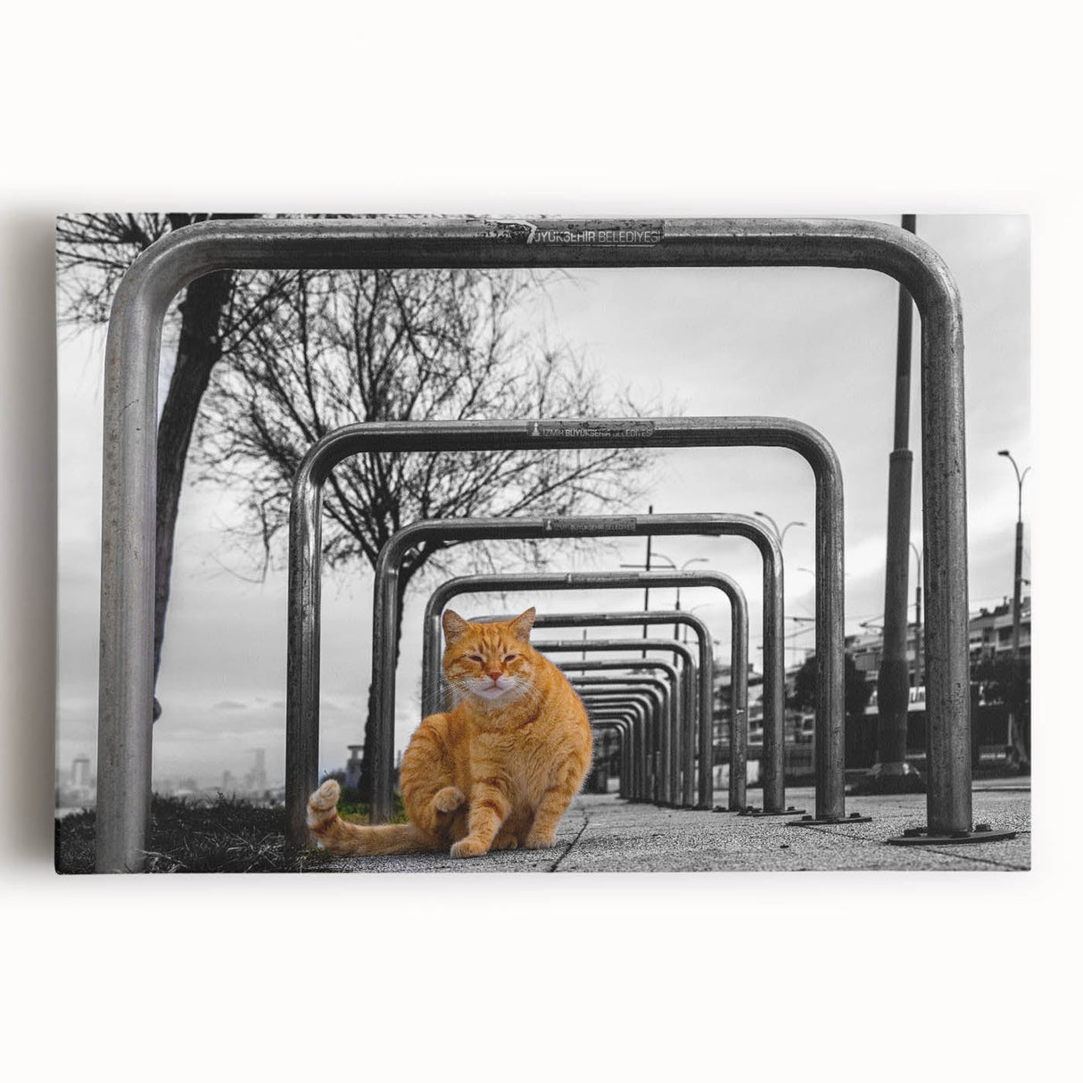 Urban Skyline Canvas Prints – Cat in City Symmetry Street Scene