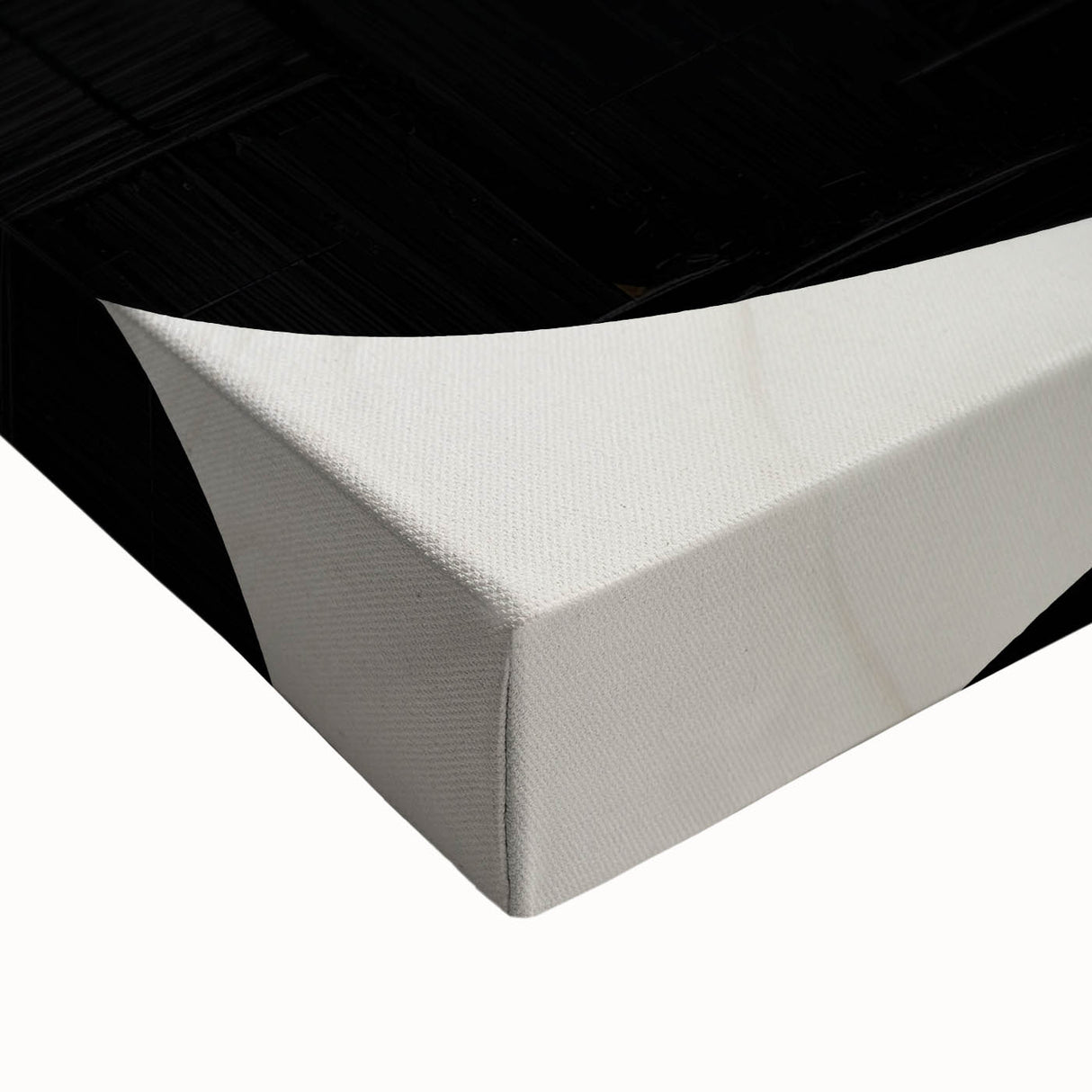 Modern Abstract Art – Bold Black Organic Shapes on White Canvas