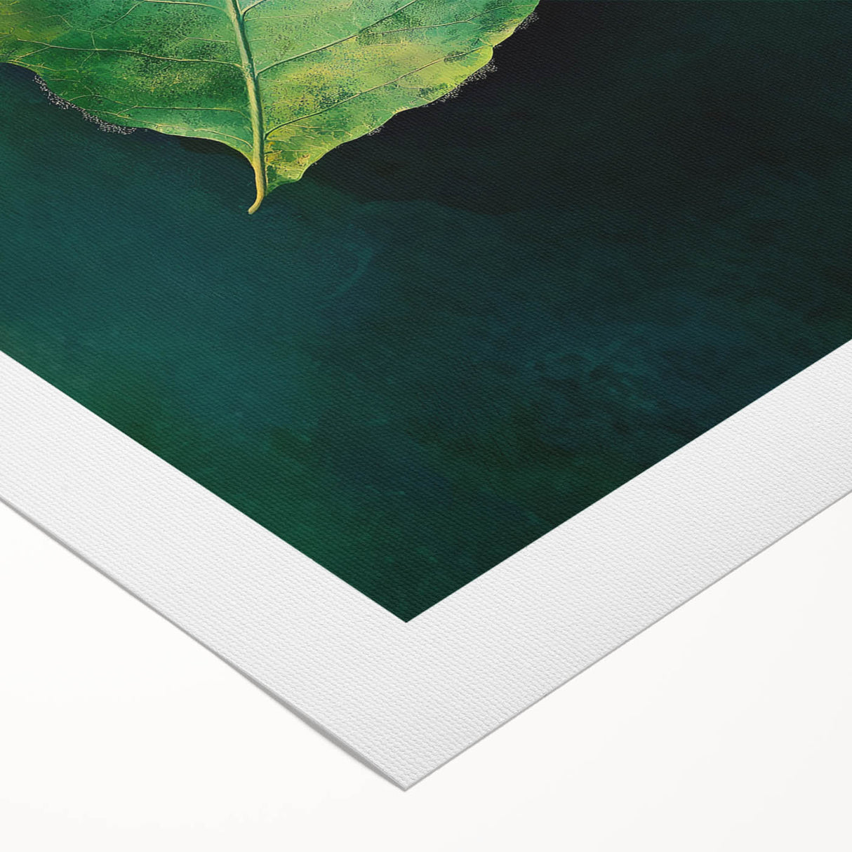 Abstract Minimalist Nature Art – Floating Leaf & Solitude Print